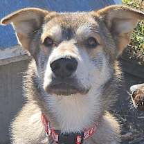 Thumbnail photo of Thor #3