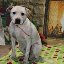 Thumbnail photo of Spook #1