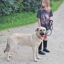 Thumbnail photo of Chase #1