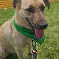 Thumbnail photo of Chase #2