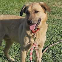 Thumbnail photo of Chase #3