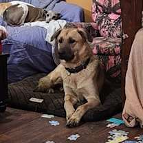 Thumbnail photo of Chase #4