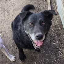 Thumbnail photo of Bear #2