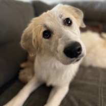 Thumbnail photo of Puddle HTX #1