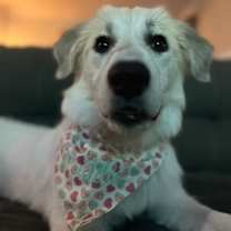 Thumbnail photo of Puddle HTX #2