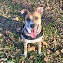 Thumbnail photo of Marilyn #2