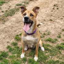 Thumbnail photo of Marilyn #3