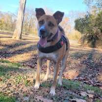 Thumbnail photo of Marilyn #4