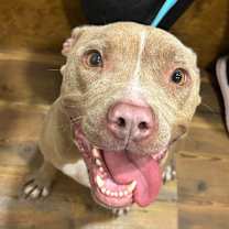 Thumbnail photo of Ariel *WAIVED FEE #1