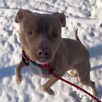 Thumbnail photo of Ariel *WAIVED FEE #4