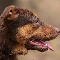 Thumbnail photo of Laura #1