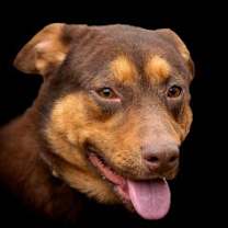 Thumbnail photo of Laura #2