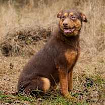 Thumbnail photo of Laura #3