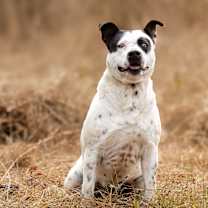 Thumbnail photo of Dana #2