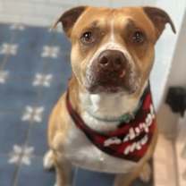 Thumbnail photo of King #1