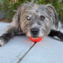 Thumbnail photo of Gigi #2