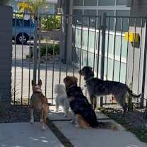 Thumbnail photo of Gigi #3