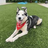 Thumbnail photo of Dean #4