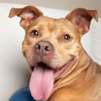 Thumbnail photo of Canela - F #1