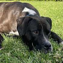 Thumbnail photo of Amazing Theodore #4