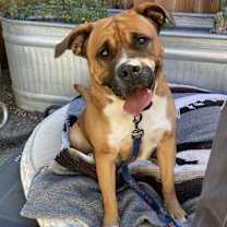 Thumbnail photo of UKI #1