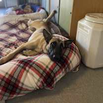 Thumbnail photo of IZZY #2