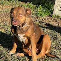 Thumbnail photo of Marcela #2