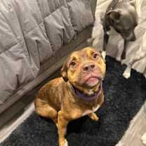 Thumbnail photo of Marcela #3