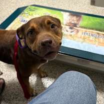 Thumbnail photo of Marcela #4