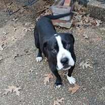 Thumbnail photo of ZCL-D- River #1