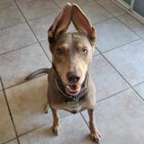 Thumbnail photo of Honey #2