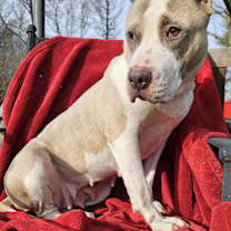 Thumbnail photo of Lottie #2