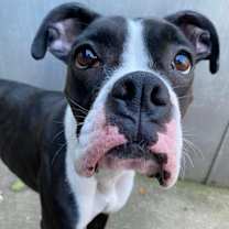 Thumbnail photo of Nisha #1