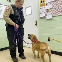 Thumbnail photo of Kelo in Martinsville VA #3