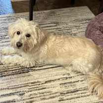 Thumbnail photo of Gretta #1