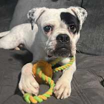 Thumbnail photo of Tabitha #4