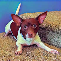 Thumbnail photo of Lamar #1