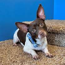 Thumbnail photo of Lamar #2