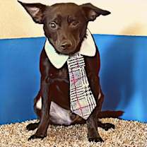 Thumbnail photo of Pike #2