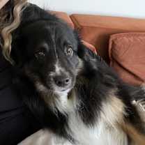 Thumbnail photo of JD #2