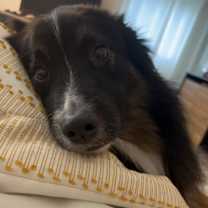 Thumbnail photo of JD #3