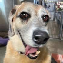 Thumbnail photo of Kennedy #2