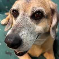 Thumbnail photo of Kennedy #4