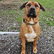 Thumbnail photo of Zeus #1