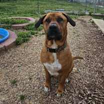 Thumbnail photo of Zeus #2