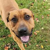 Thumbnail photo of Zeus #3