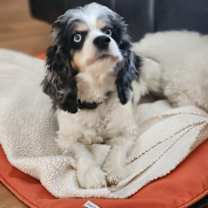 Thumbnail photo of Flo #1