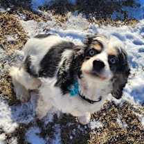 Thumbnail photo of Flo #2