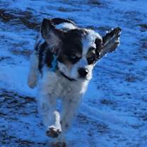 Thumbnail photo of Flo #4