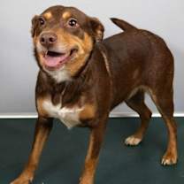 Thumbnail photo of Marina #1